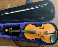 Viola 17 in, Gliga Vasile