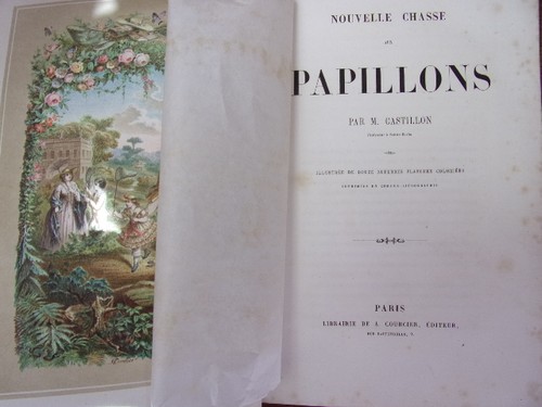 Castillon. Nouvelle chasse aux papillons. 12 planches coloriées 1858 - Picture 2 of 12