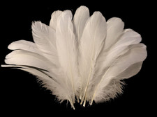 Ivory Goose Feathers 6-8" 12 Pc Wedding Millinery Crafts Decoration