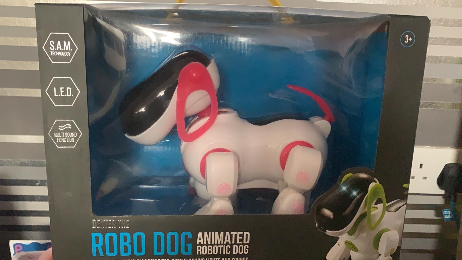 dexter the robot dog