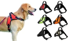 Adjustable Dog Chest Straps Vest No-Pull Hand Strap Harness Black Brand New