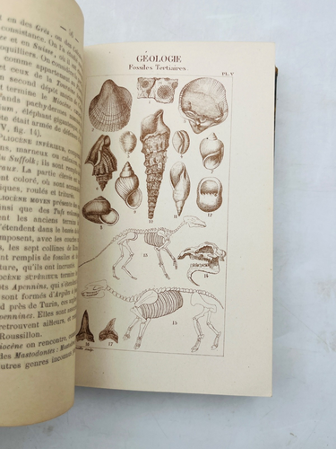 Notions d’histoire naturelle/Traité élémentaire de géologie et de minéralogie Di - Foto 1 di 4