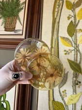 Pair of Vintage Floral Daisy Lucite Resin Trivets Hot Pads