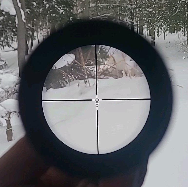 Nikon Coyote Special Rifle Scope 4-12x40 BDC Reticle Predator ...