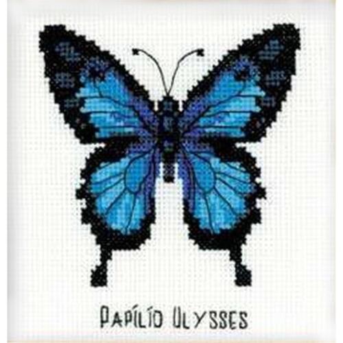 Riolis counted cross stitch Kit Ulysses Butterfly, DIY - Afbeelding 1 van 1