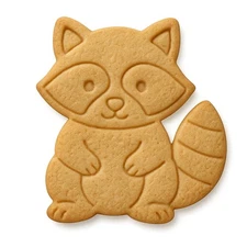 Raccoon Cookie Cutter & Stamp 4x3.79" for Baking Fondant Clay Embosser Gifts