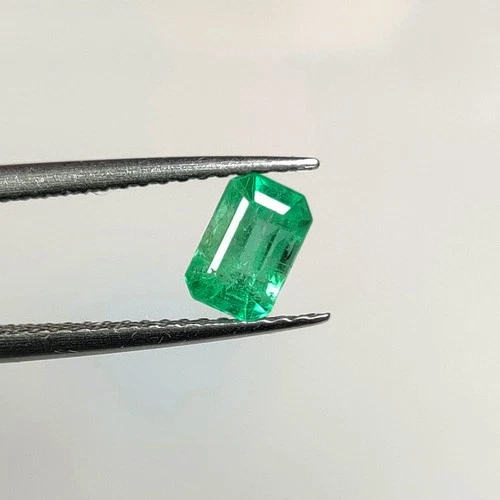 0.69 CT - Natural Zambian Emerald Octagon Shape Good Luster Gem - 10158