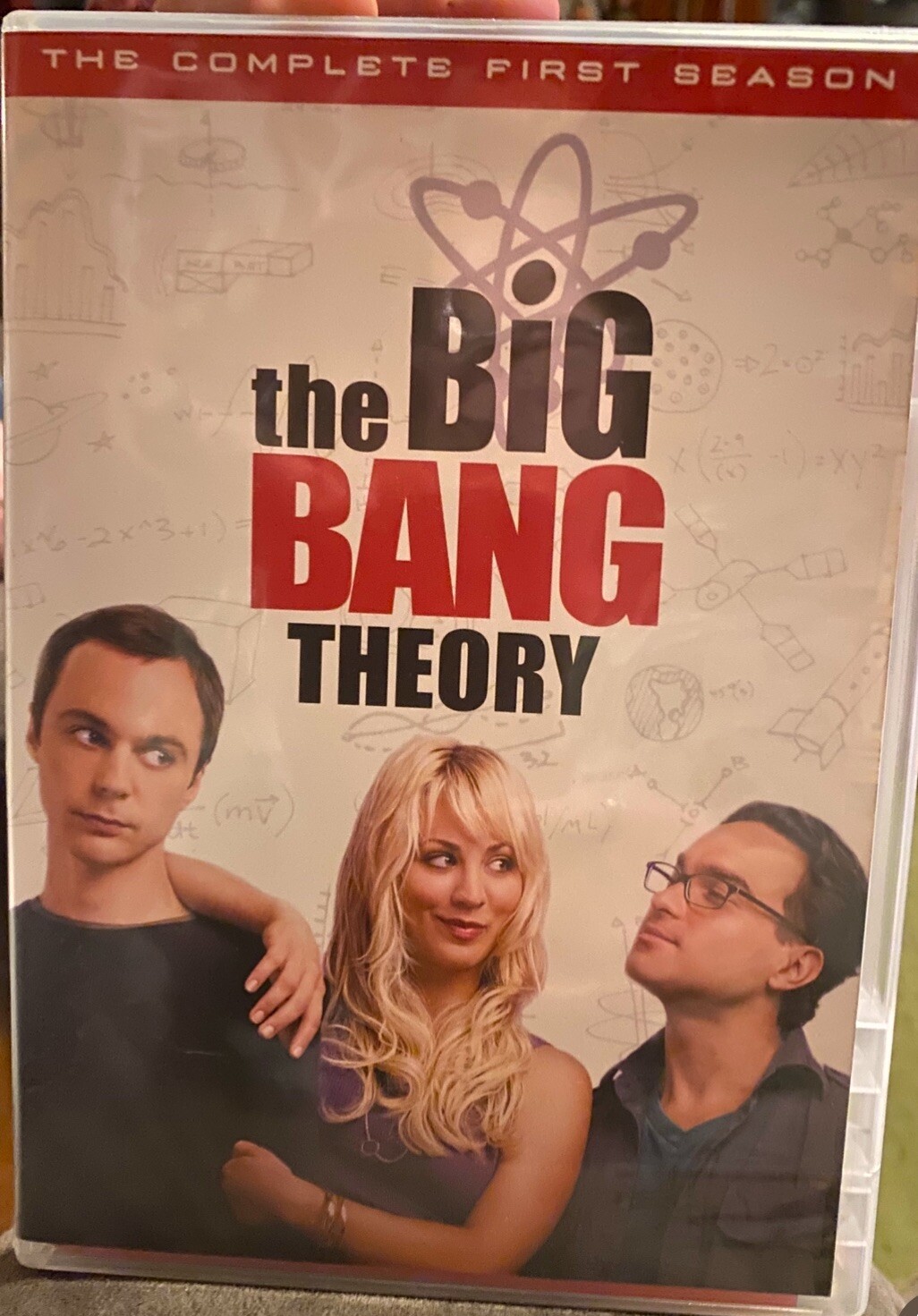 The Big Bang Theory: the Complete First Season (DVD, 2007)
