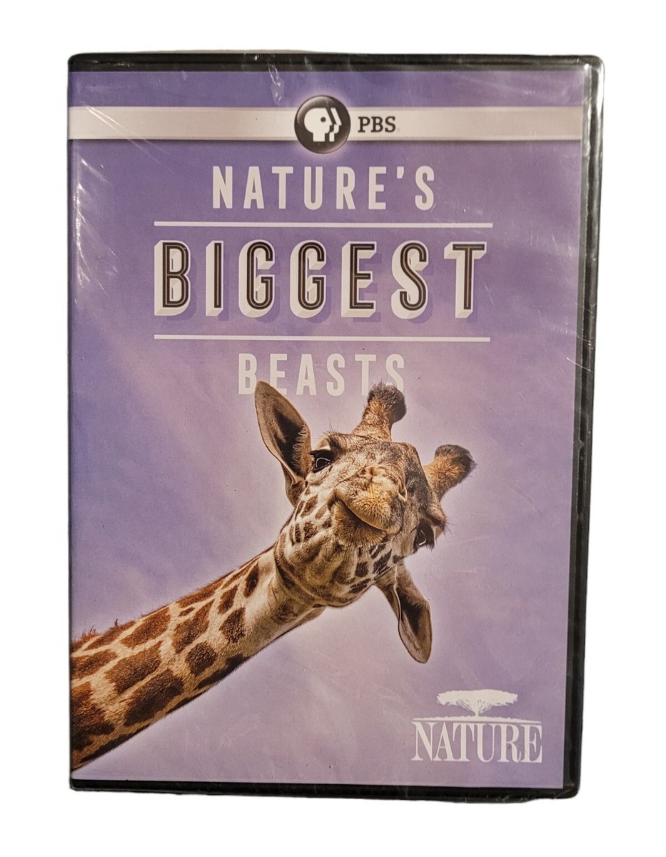 その他 Nature: Extraordinary Animals [DVD] Nature: Extraordinary Animals (DVD, 2010, 6-Disc Set) for