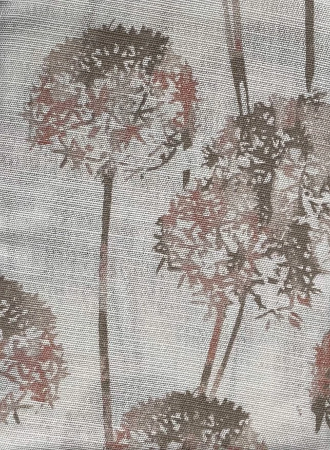 Picture 6 of 6