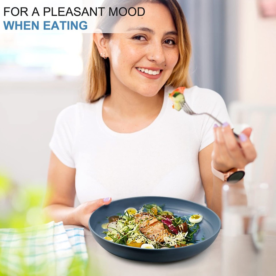 Lightweight Plastic Plates 4 Pack 10'' Unbreakable Dinner Plates