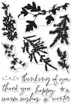 Memory Box Winter Greenery Clear Stamp Set, MB-CL5235 WAS $15.99
