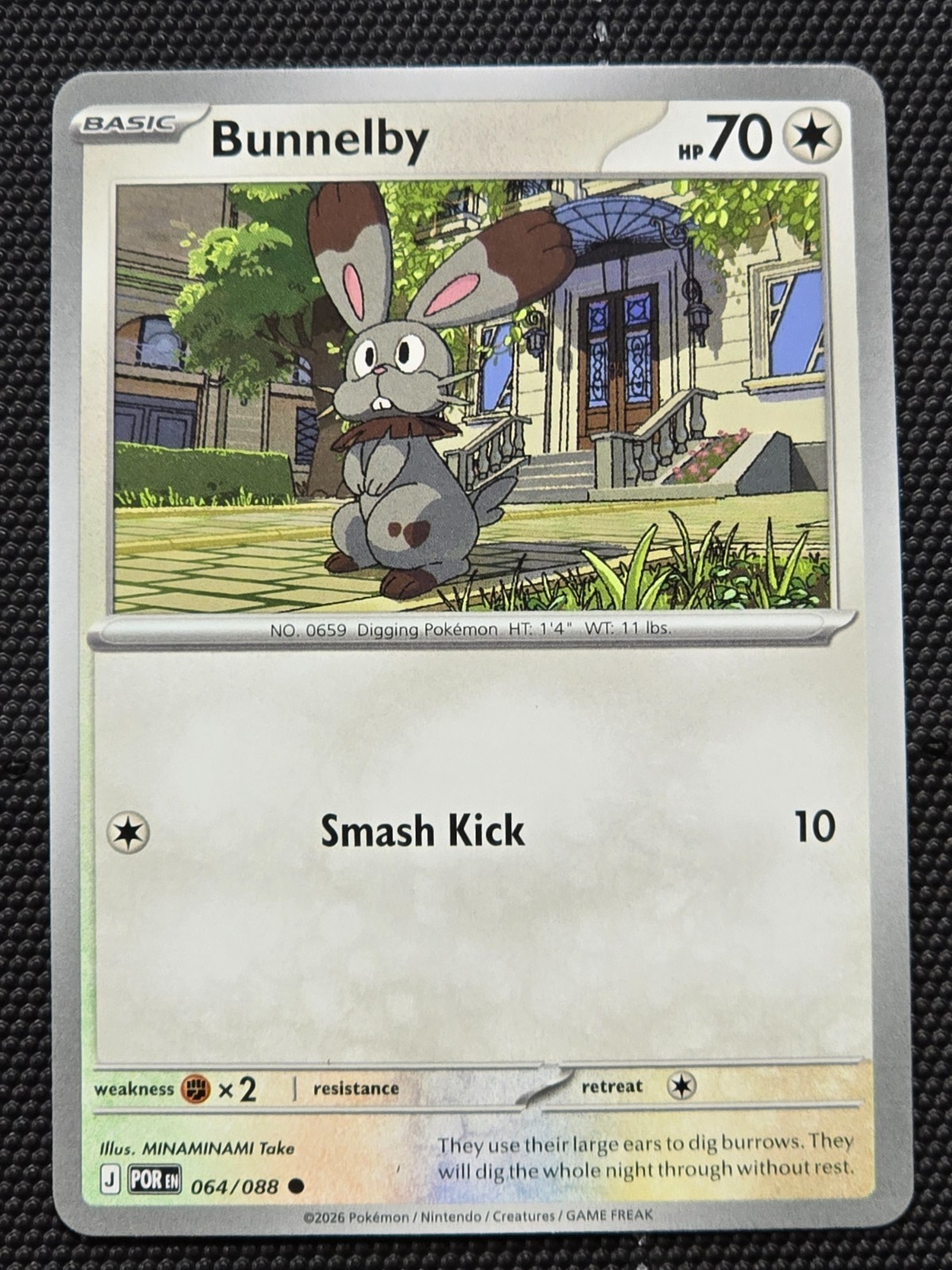 Bunnelby - 064/088 - Perfect Order - NM/M