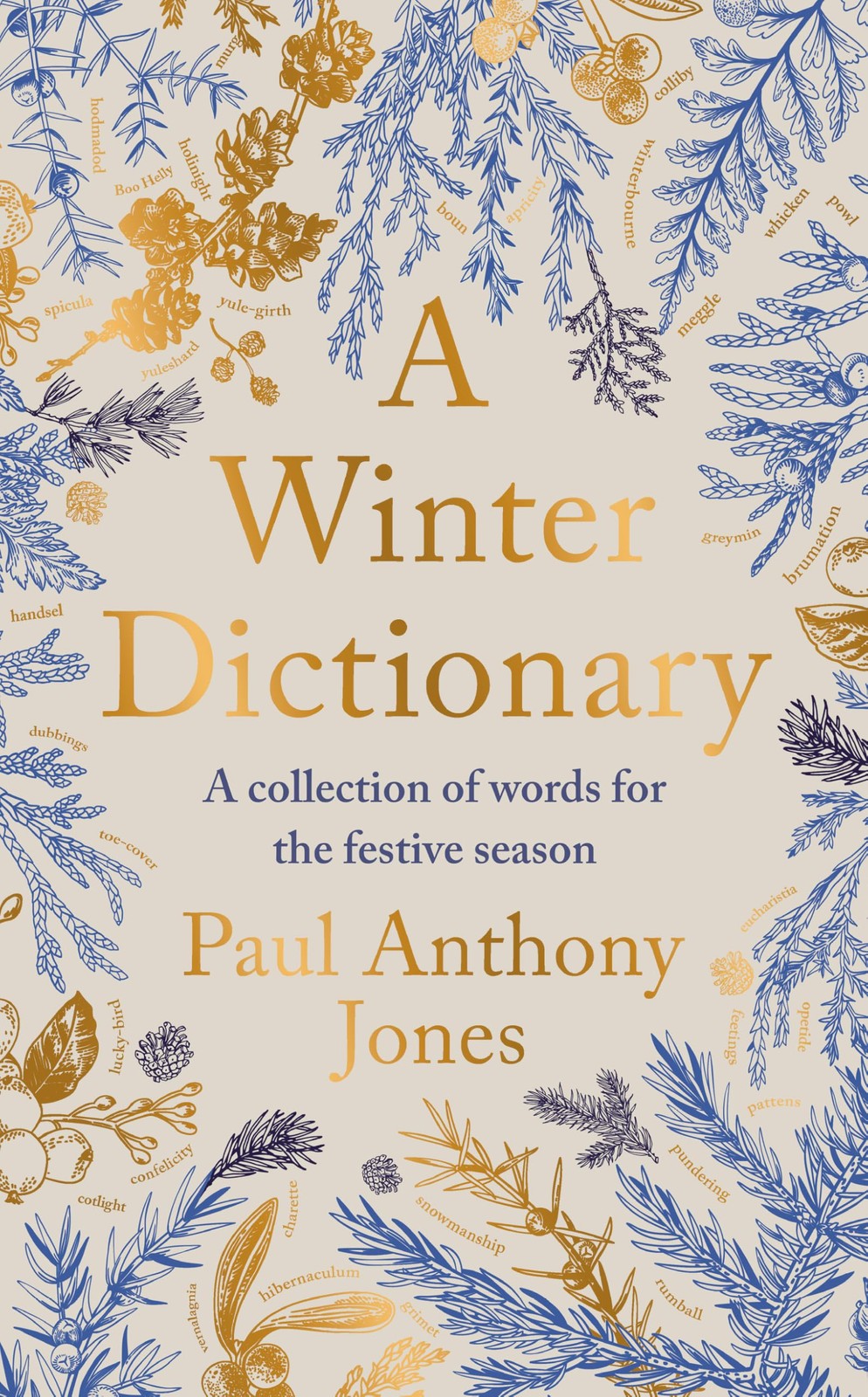 A Winter Dictionary: A Collection of Words for the Festive Season - Full of fro