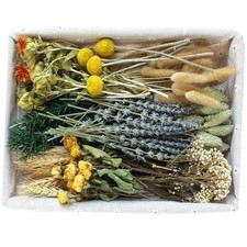 DIY Natural Dried Flower Set, Bulk Dried Flowers for Vase, Dried Flowers Brown