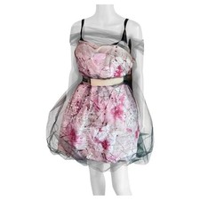 Dolce & Gabbana S/S 2008 Runway Unworn Hand Painted Sheer Mesh Belted Dress