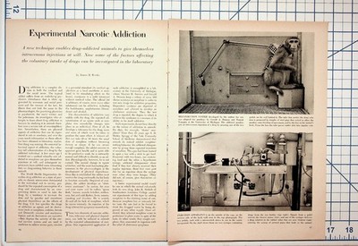 1960s Experimental Narcotic Addiction Article Ephemera Monkey Rat Research