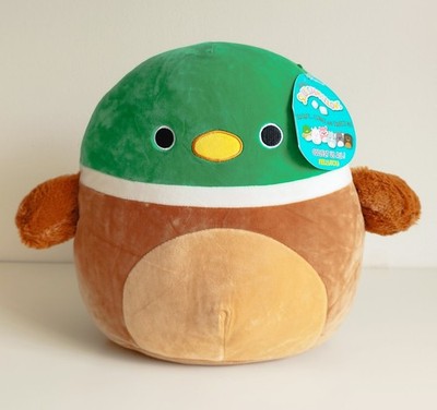 Brandneu mit Etikett Ente Squishmallow Avery die Stockente 12 Zoll 30 cm weiches Plüschtier