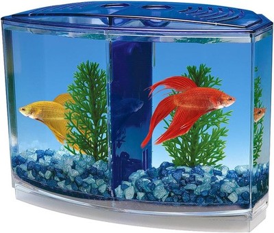 Penn-Plax Aquarium Doppel Betta für Aquarien 20 cm