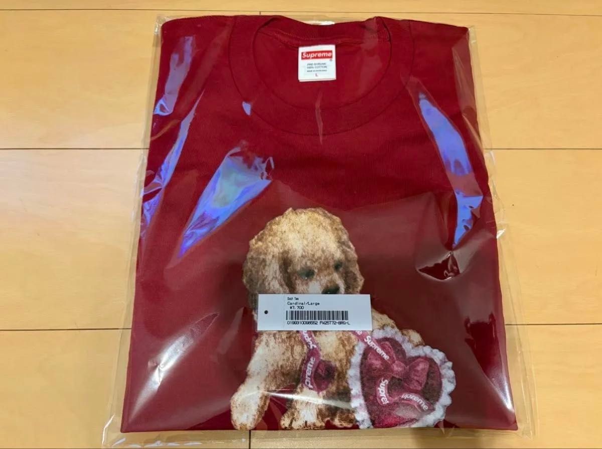 Brand new Supreme Dust Tee Cardinal L size From Japan 2