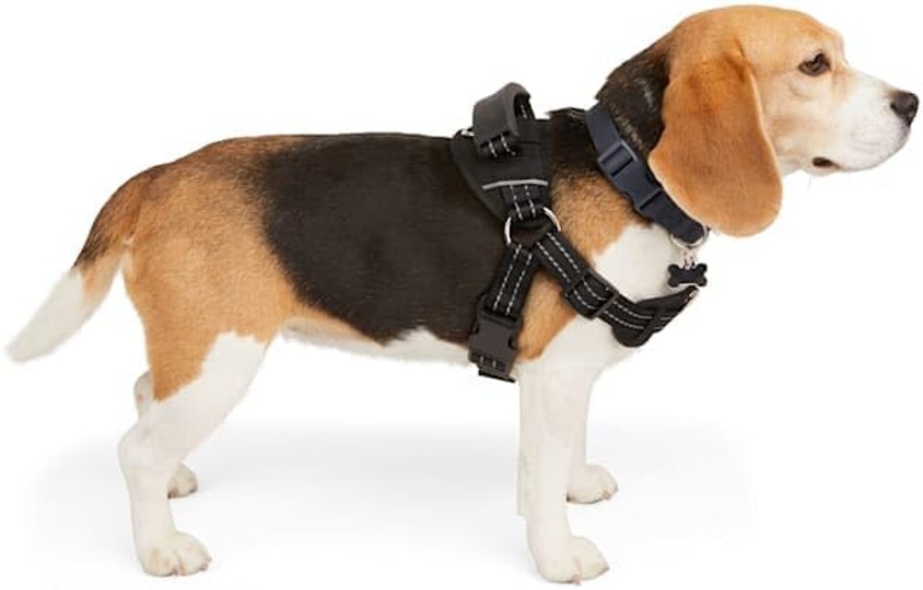 EveryYay Black Easy On Training Dog Harness X-Small Petco