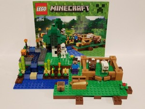 lego minecraft 21114