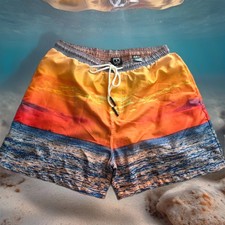 Tango Hotel Men's Scenic Beach Swim Shorts XL Colorful Elastic Waist Drawstring
