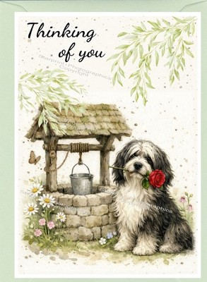 Tibet Terrier Hund (4''x 6'') Thinking of You Karte - innen leer - von Starprint