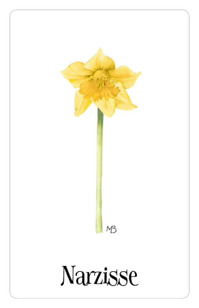 Thumbnail - Schachtelspiel – Zauberhaftes Blumen-memo (m. Bastin)