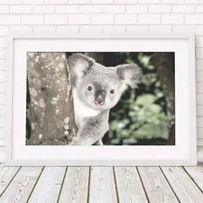 Koala - Australian Native Poster Picture Print Sizes A5 to A0 **FREE DELIVERY**
