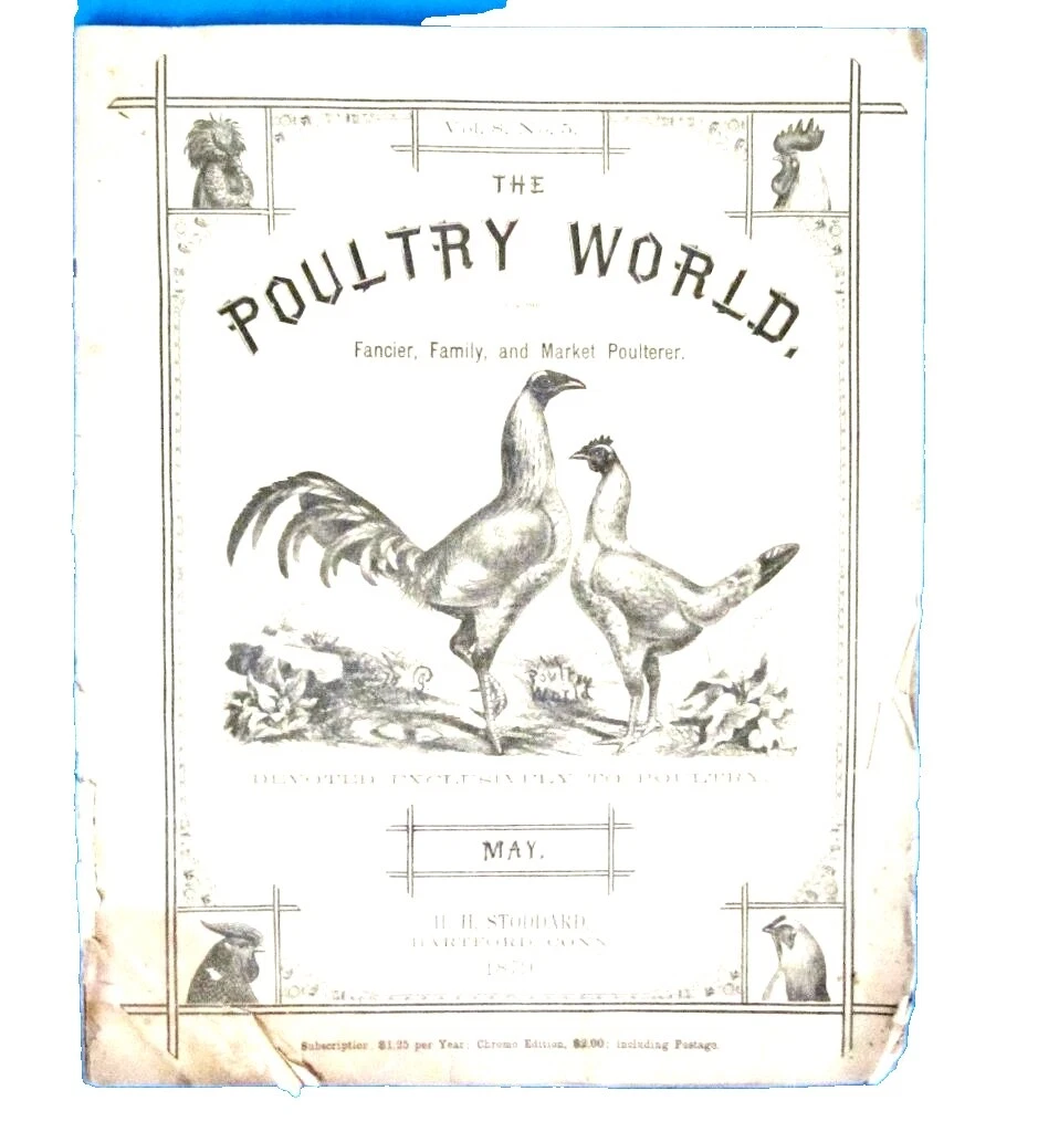 Original Antiguo Victoriano antigüedades arquitectónicas y para Jardín