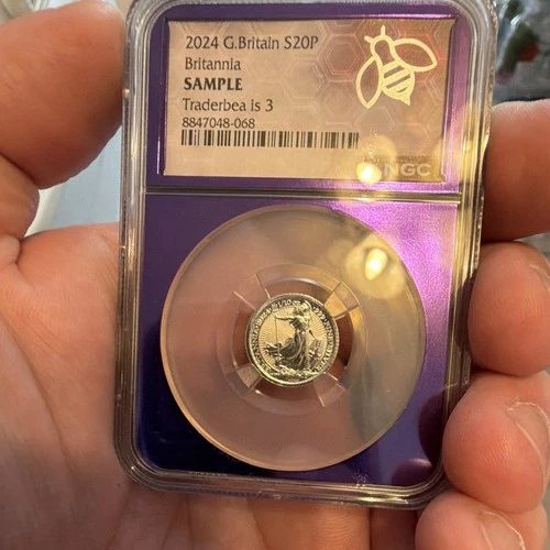 2024 Silver Britannia 1 oz — photo from another recent sale
