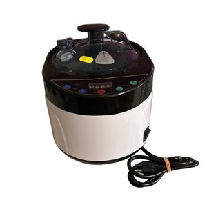 Portable 4L Home Steam Sauna Generator Unit Only Steam Sauna Relaxation