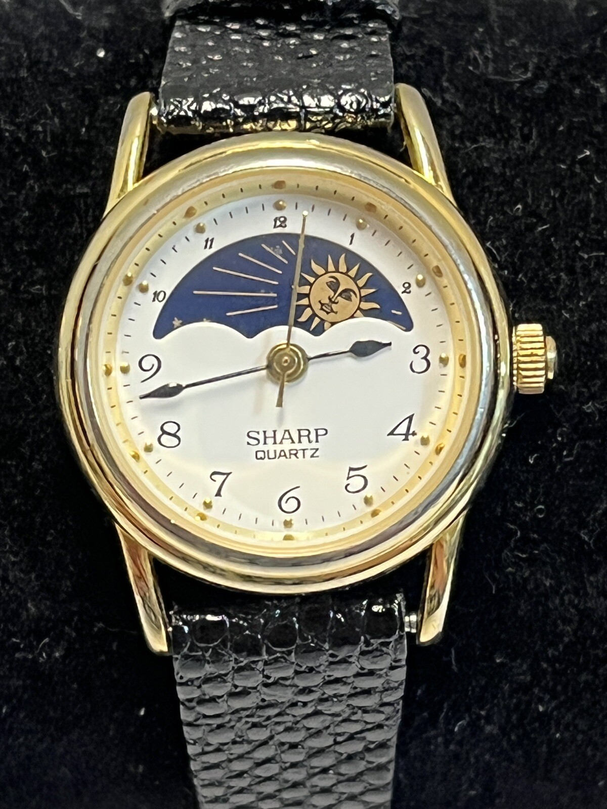 Sharp watch lot - image 5