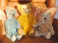 Alter, hellblauer Teddybär,  Rarität! Steiff-Teddy, Petz-Teddy, Konvolut.