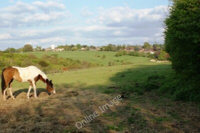 Foto 6x4 Ponykoppeln am Nordrand von Reading Chalkhouse Green um 2010