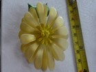 Picture 6 of 6