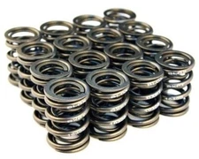 BLOX Racing BXPT-20300 Dual Valve Spring Set for 93–01 Honda Prelude H22A DOHC