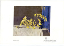 1913 Sir William Nicholson (1872-1949) The Yellow Orchid