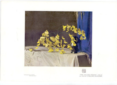 1913 Sir William Nicholson (1872-1949) The Yellow Orchid