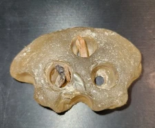 Surf Tumbled Sea Glass Vintage Hole Glass Flower Frog with Rocks Inside 