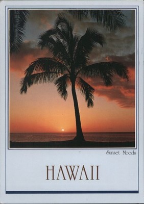 John Wagner Hawaii Sunset Moods Palm Tree Silhouette Ocean, HI 1985 Honolulu