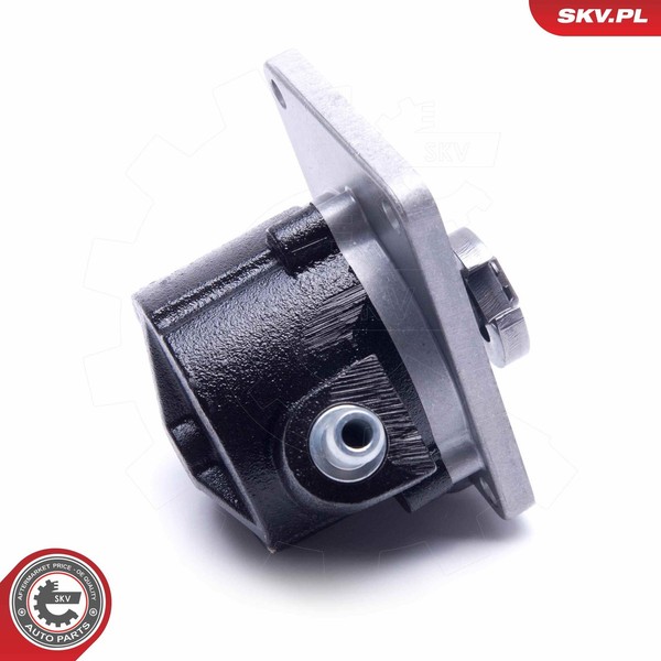 Esen SKV Unterdruckpumpe, Bremsanlage 18SKV027 FüR CitroËN Passend FüR Fiat-image