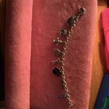 New Over The Rainbow Dog Memorial Stainless Steel Bracelet 7 Inches