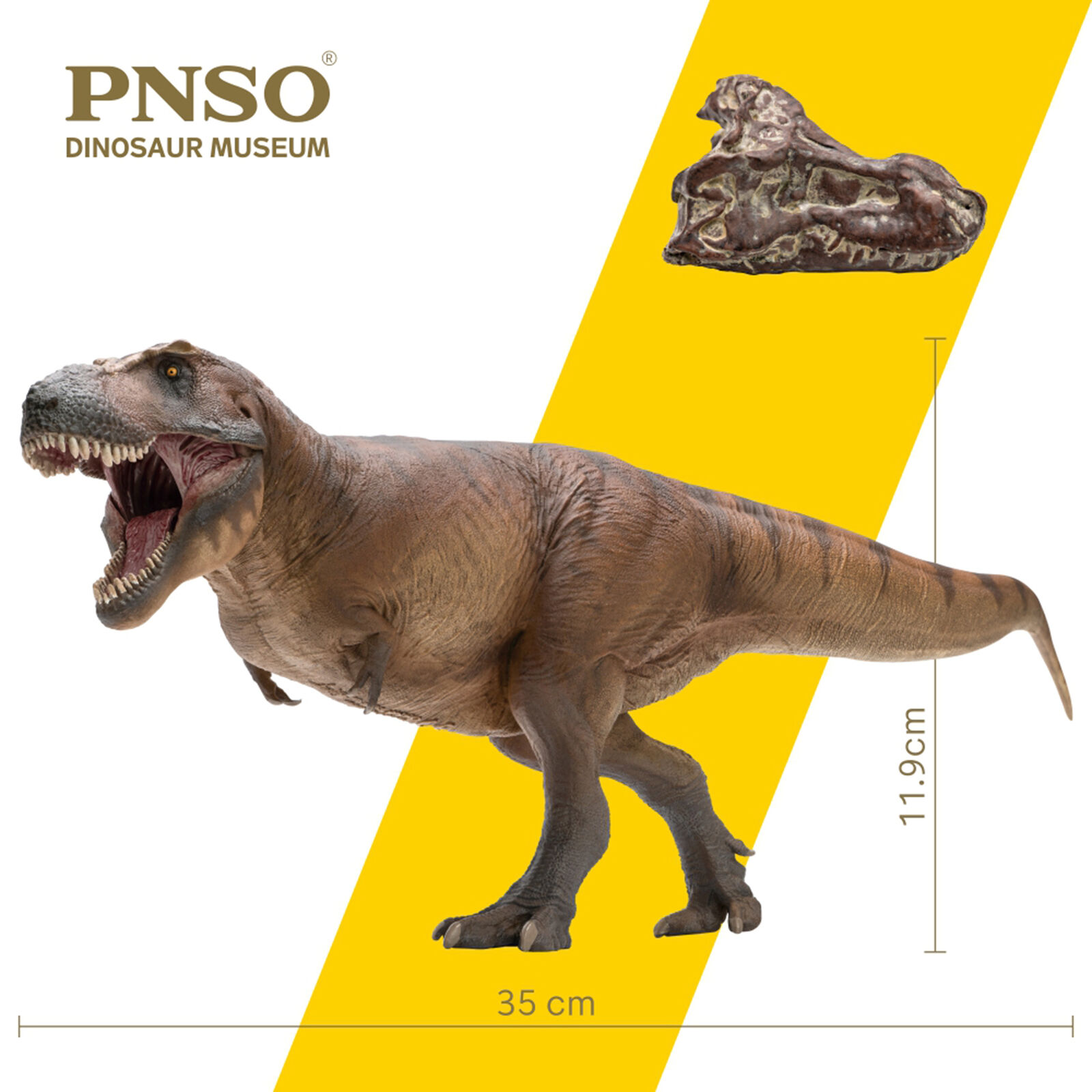 PNSO 1/35 Tyrannosaurus Rex Cameron Dinosaur Model Animal Collection GK Decor 