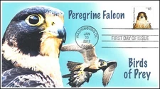AO-4609, 2019, Birds of Prey, Add-on Cachet, First Day Cover, SC 4609, Peregrine