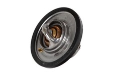 Thermostat Ford CONSUL