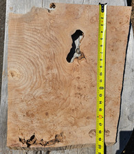 Maple Wood Burl Board Slab