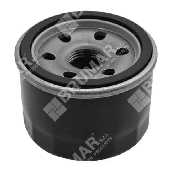 Spillo per motore DOV con carburatore NIKKI 698537 BRIGGS & STRATTON 222055