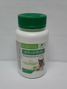 advantus oral flea treatment